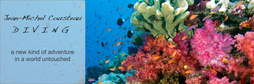 Jean-Michel Cousteau Diving